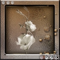 Blume - flower κινούμενο GIF