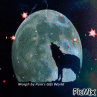 Full Moon Howl color morph - Zdarma animovaný GIF