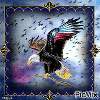 the eagle GIF animé