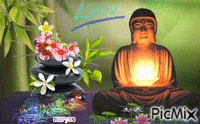 zen animēts GIF