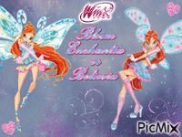 Winx club Bloom Enchantix or Believix 动画 GIF