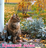 Осенний пейзаж. анимирани ГИФ