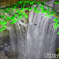 У водопада. - Free animated GIF