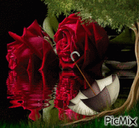 voda a růže - Besplatni animirani GIF