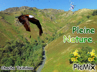 Nature 动画 GIF