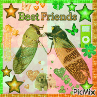 best friend cicadas Gif Animado
