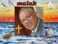 MALAK - GIF animasi gratis