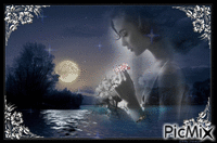 Moonlight - GIF animado gratis