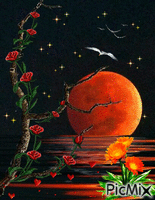 luna - GIF animado grátis