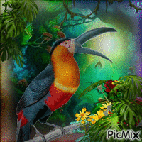 Mehrfarbiger Vogel - GIF animate gratis