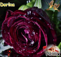 Flores Animated GIF