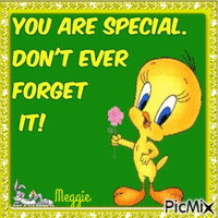 you are special Animated GIF