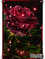 róża - Ingyenes animált GIF
