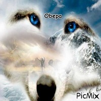 Obepa - Бесплатный анимированный гифка