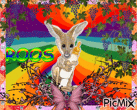 ROOS 动画 GIF