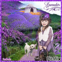 LAVENDER Animated GIF
