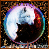 Wolf Moon Autumn In The City GIF animasi