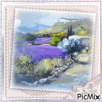 the Provence