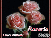 Rosaria - Free animated GIF