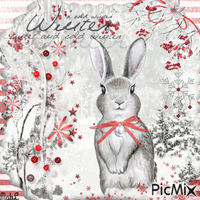 Winter Rabbit - GIF animé gratuit
