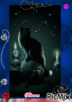gatto nero - Бесплатни анимирани ГИФ