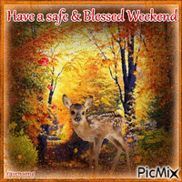 Have a safe & Blessed Weekend