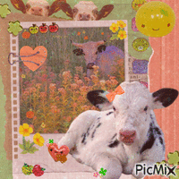 Cow collage - GIF animé gratuit