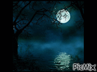 luna - GIF animado grátis