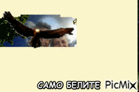SLAVIA - Bezmaksas animēts GIF