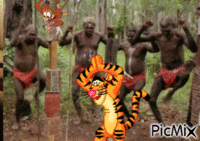 tygří tanec GIF animado