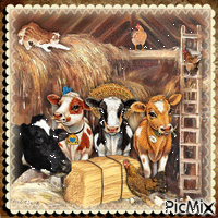 Kühe im Stall - Gratis animeret GIF