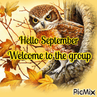 welcome owl September - Animovaný GIF zadarmo