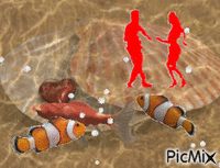 ryby animovaný GIF