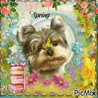 printemps chien - GIF animado gratis