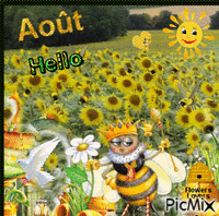 Hello Août - Бесплатный анимированный гифка