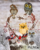 owls in snow animált GIF