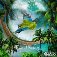 tropical summer animovaný GIF