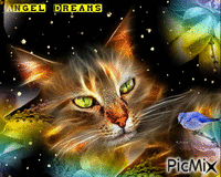 Cat Love - Bezmaksas animēts GIF