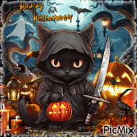 Halloween-kostümierte Katze - 無料のアニメーション GIF