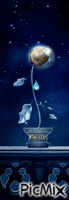 fleur lune - Besplatni animirani GIF