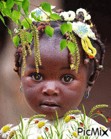Haitian Beauty - GIF animé gratuit