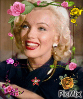 Marilyn roses - GIF animado gratis