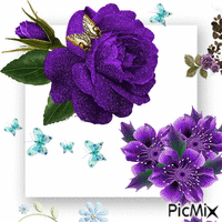 Purple and blue geanimeerde GIF
