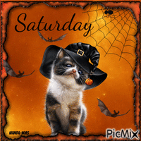 Saturday-halloween-cats