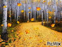Outono - GIF animé gratuit