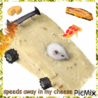 cheese racecar GIF animé