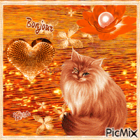 Bonjour les  chatons Animated GIF