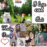 Chat et Katy Perry     love - Free animated GIF