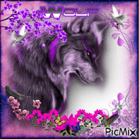 Purple wolf