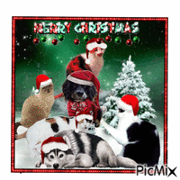 weihnachtstiere - Free animated GIF